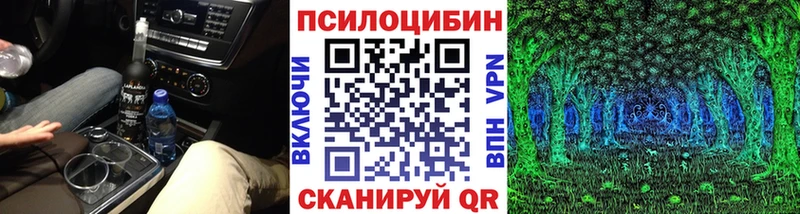 Псилоцибиновые грибы Magic Shrooms  kraken ССЫЛКА  Александровск-Сахалинский 
